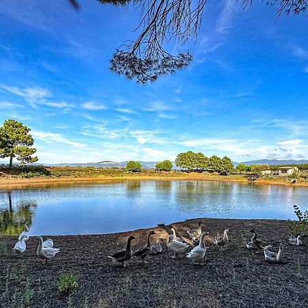 Popilia Country Resort Pizzo  Dış mekan fotoğraf