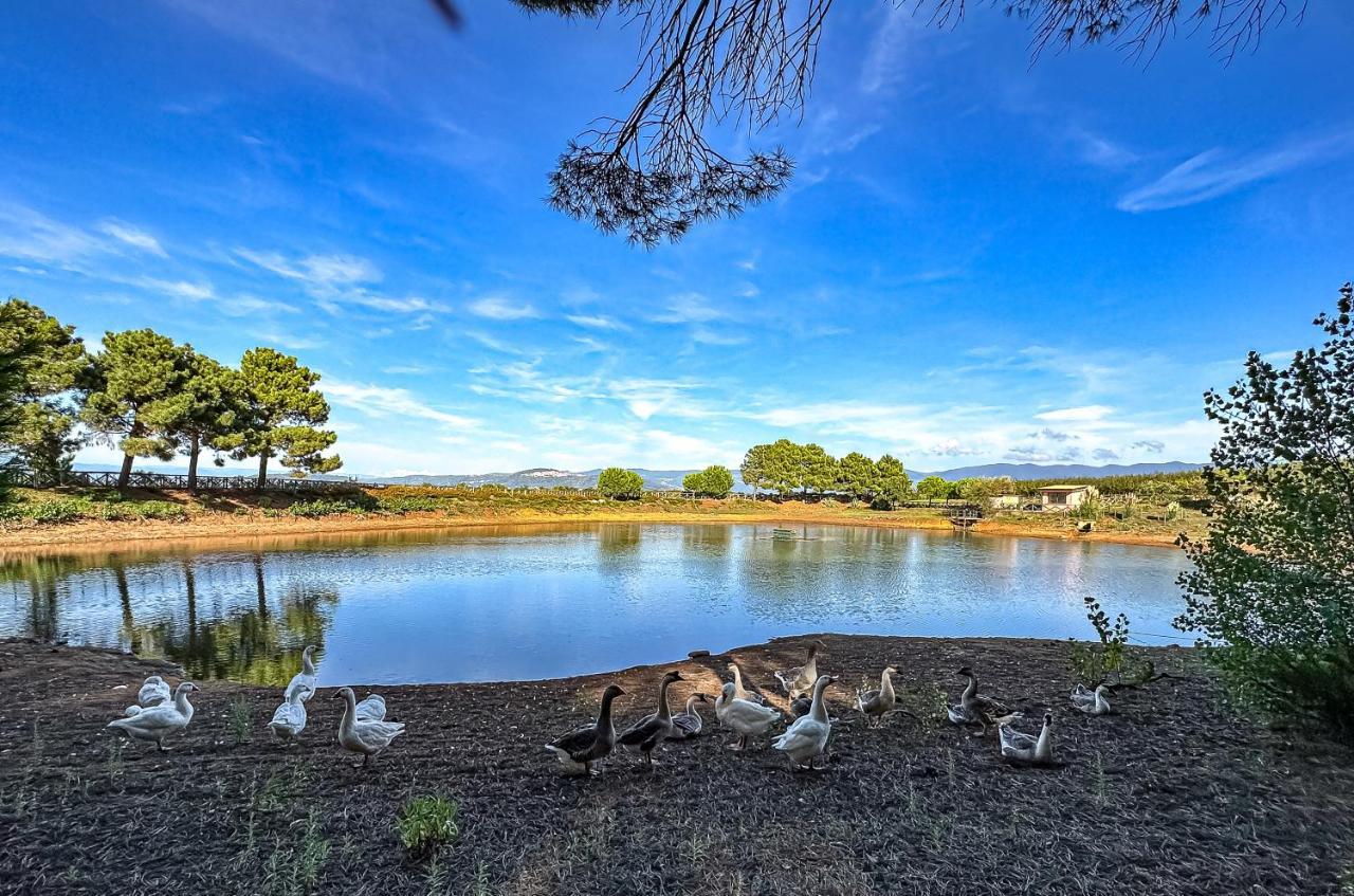 Popilia Country Resort Pizzo  Dış mekan fotoğraf