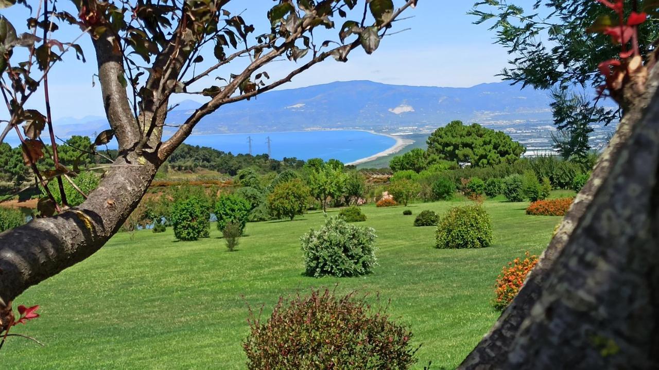 Popilia Country Resort Pizzo  Dış mekan fotoğraf