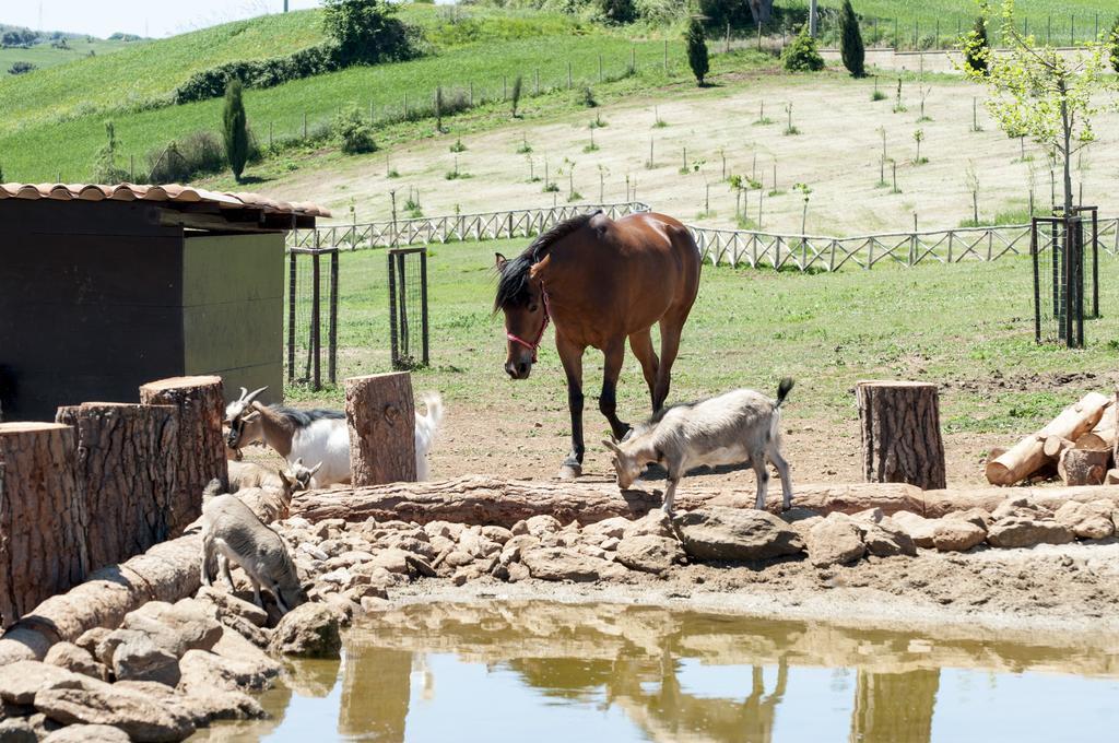 Popilia Country Resort Pizzo  Dış mekan fotoğraf