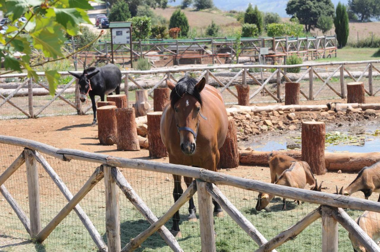 Popilia Country Resort Pizzo  Dış mekan fotoğraf